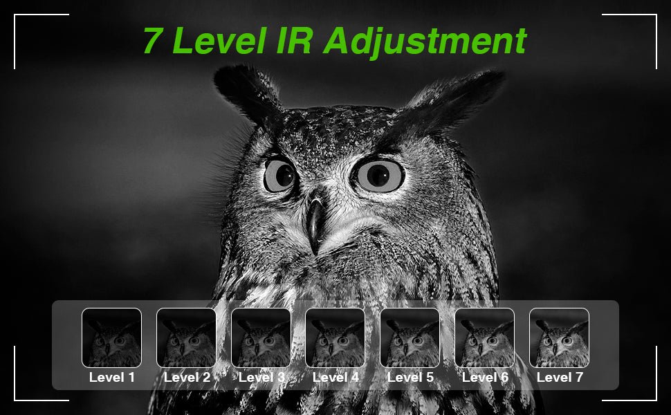 Viral Vault™ Night Vision Goggles