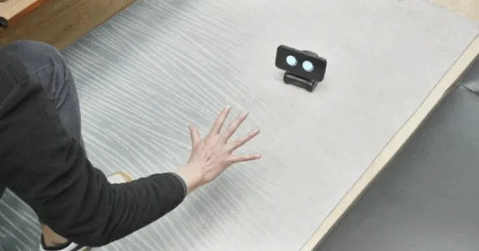 Viral Vault™ LOOI Robot Smart Toy