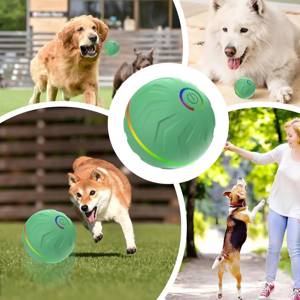 Viral Vault™  Automatic Bouncing Ball Pet Toy Ball