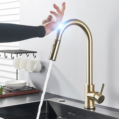 Viral Vault™ Kitchen Faucet Sensitive Touch