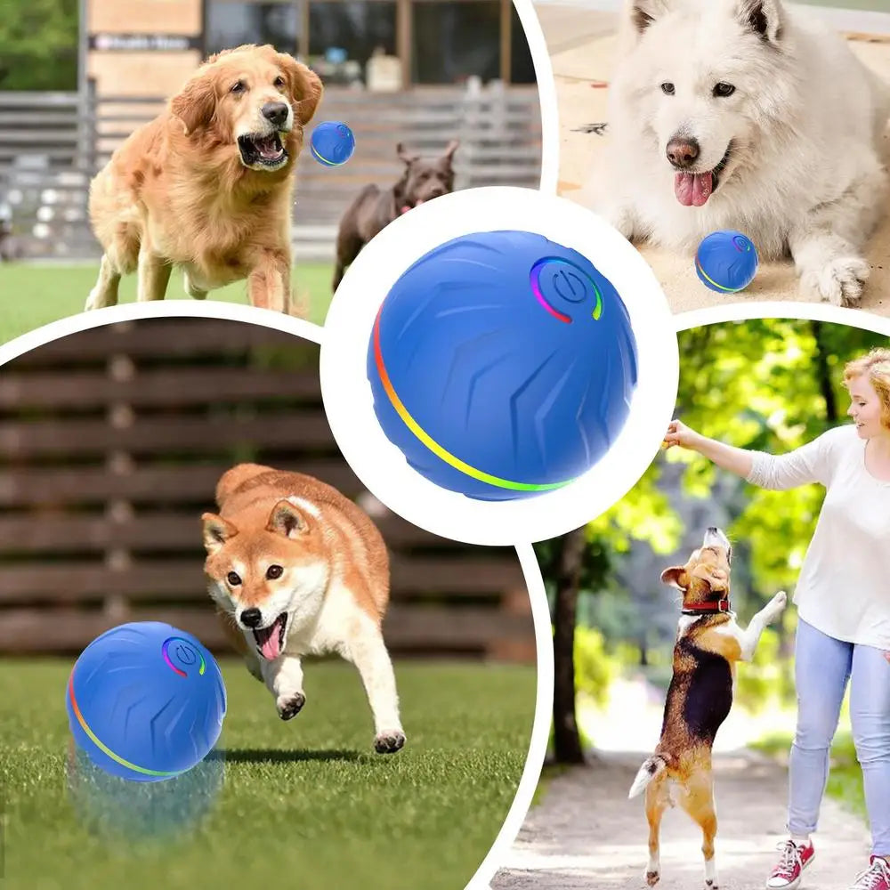 Viral Vault™  Automatic Bouncing Ball Pet Toy Ball