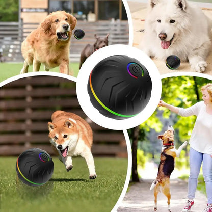 Viral Vault™  Automatic Bouncing Ball Pet Toy Ball
