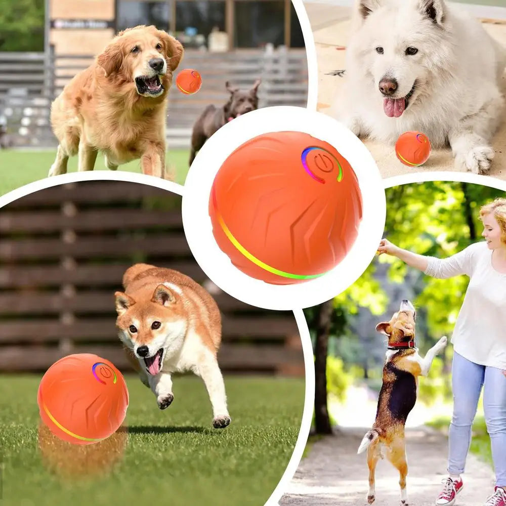 Viral Vault™  Automatic Bouncing Ball Pet Toy Ball