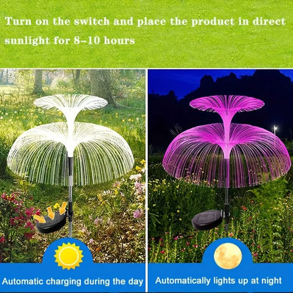 Viral Vault™  Outdoor Solar Garden Lights