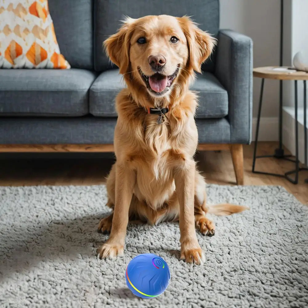 Viral Vault™  Automatic Bouncing Ball Pet Toy Ball