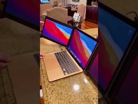 Viral Vault™ Dual Extended Screen