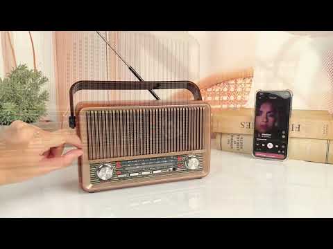 Viral Vault™ PRUNUS J-120 Radio